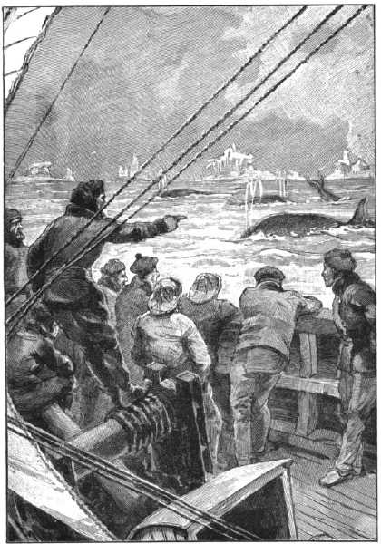 “There, 
look there! That’s a fin-back!”