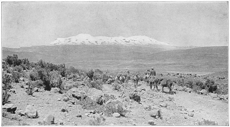 Mt. Coropuna from the South