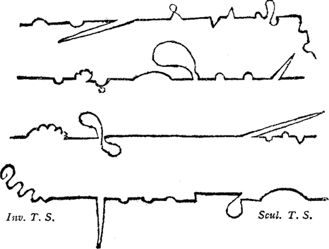 four very squiggly lines across the page signed Inv.T.S and Scw.T.S