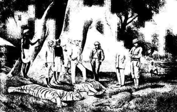 Tiger Hunting--Return to
the Camp