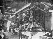 The Old French Market at New Orleans