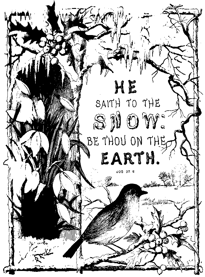 He Saith to the Snow: Be Thou on The Earth. Job 37.6
