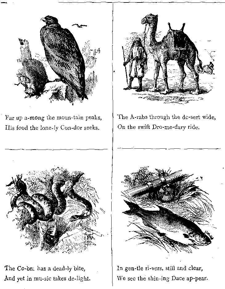 Far up A-mong the Moun-tain Peaks,
His Food the Lone-ly Con-dor Seeks.
