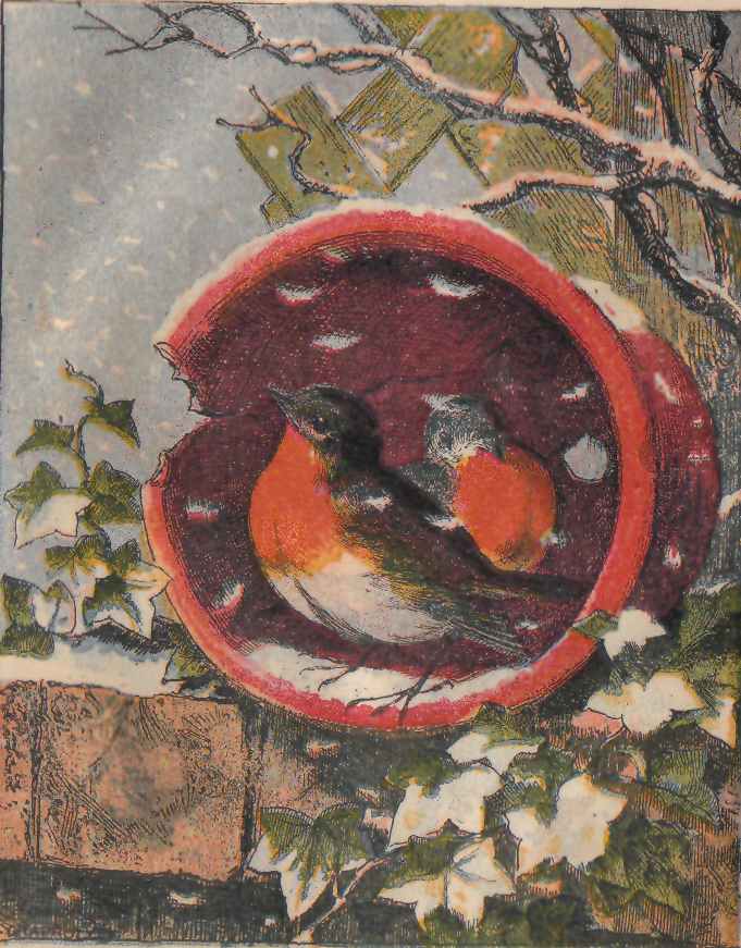 'How is the Weather?'
