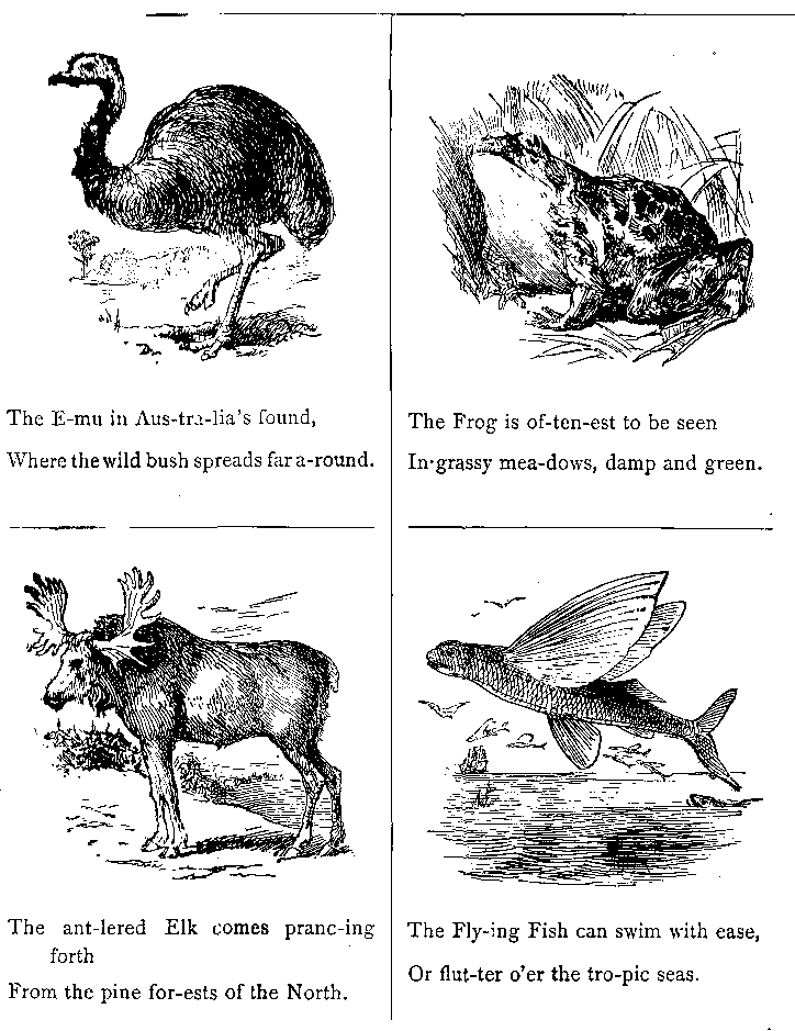 The E-mu in Aus-tra-lia's Found,
Where the Wild Bush Spreads Far A-round.
