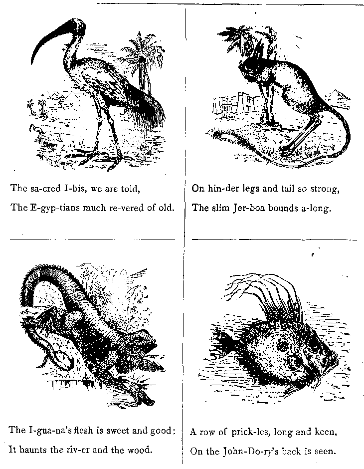 The Sa-cred I-bis, We Are Told,
The E-gyp-tians Much Re-vered of Old
