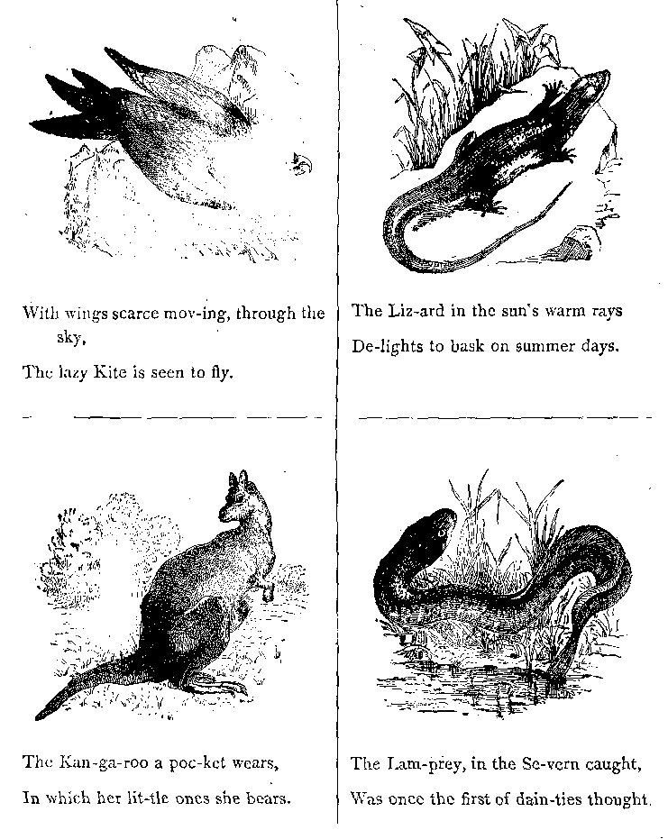 With Wings Scarce Mov-ing, Through the Sky,
The Lazy Kite is Seen to Fly.}
