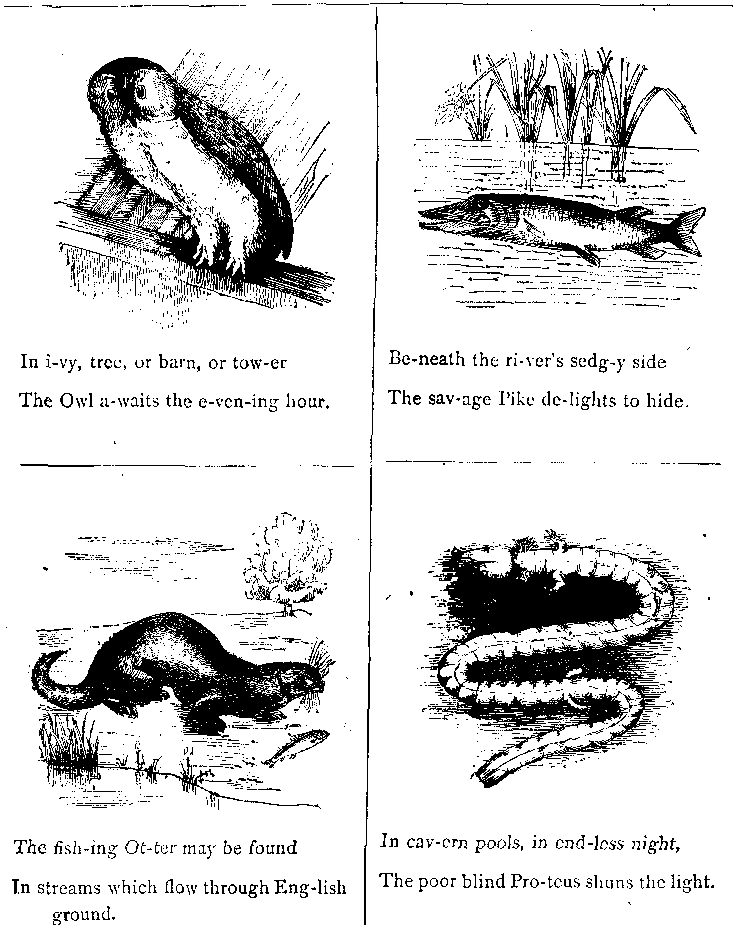 In I-vy, Tree, Or Barn, Or Tow-er
The Owl A-waits the E-ven-ing Hour.
