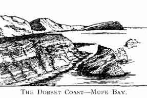 The Dorest Coast—Mupe Bay.