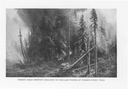 Forest Fires Destroy Millions of Dollars Worth Of
Timber Every Year