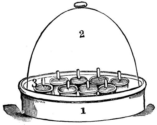  1, PAN; 2, BELL GLASS; 3, SMALL POTS AND LABELS.