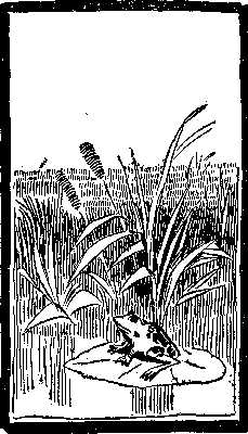 MANUFACTURING SUBURB