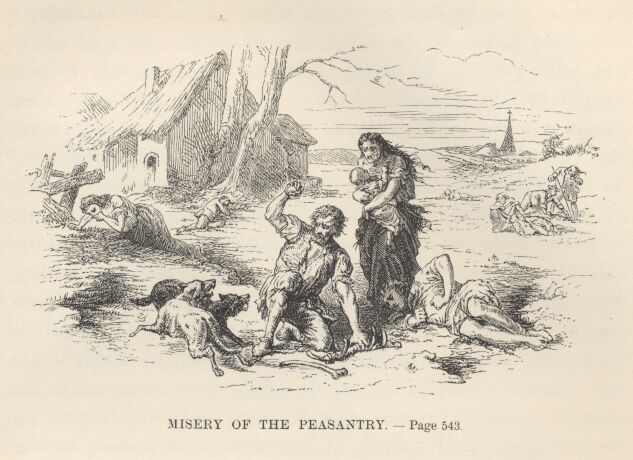 Misery of the Peasantry——543 