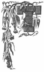 Illustration: Letter T.