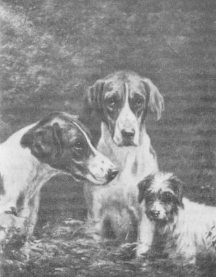 A FAMILY OF DOGS. Matilda Lotz