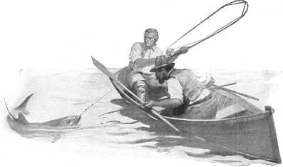 I don't really need a tarpon … but I need a burned
neck and a peeled nose