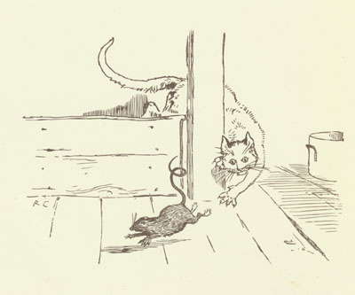 The Cat chases the Rat