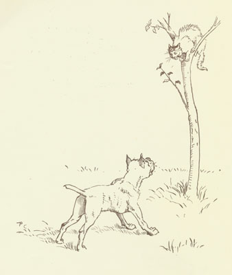 The Dog worries the Cat up a tree