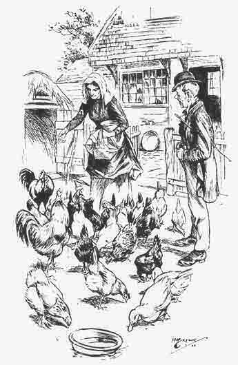 "Yon's gradely
chickens," he remarked