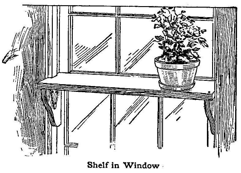 Shelf in Window
