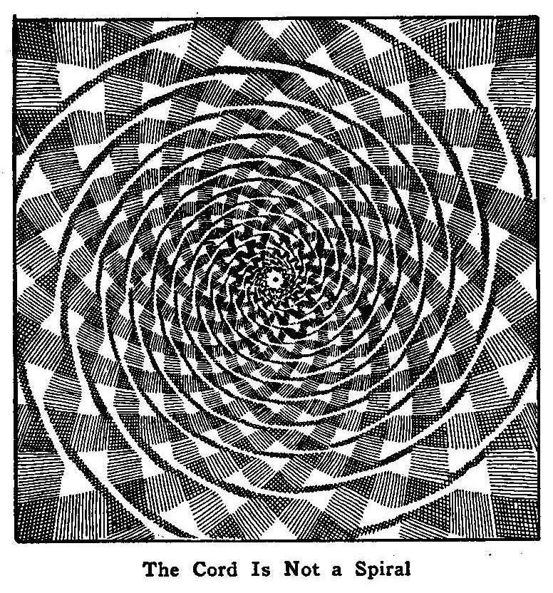 The Cord Is Not a Spiral
