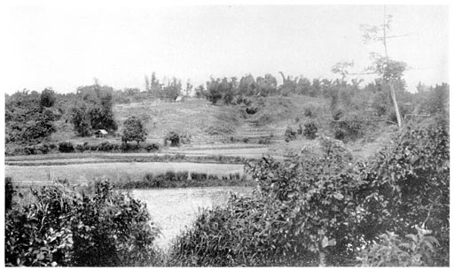 Highland Field and Terraces at Patok.