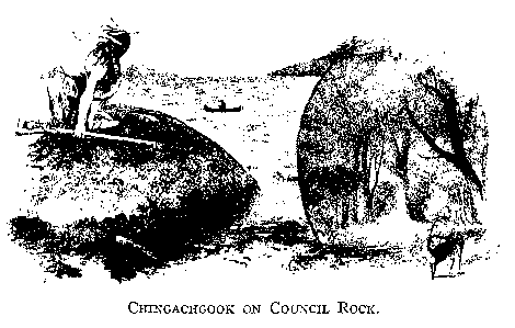 CHINGACHGOOK ON THE COUNCIL ROCK.