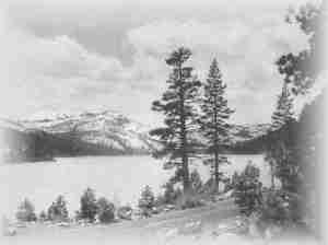 Donner Lake, on the Automobile Highway from Sacramento to Truckee and Lake Tahoe