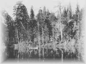 'Fallen Leaf Lodge Among the Pines, on Fallen Leaf Lake