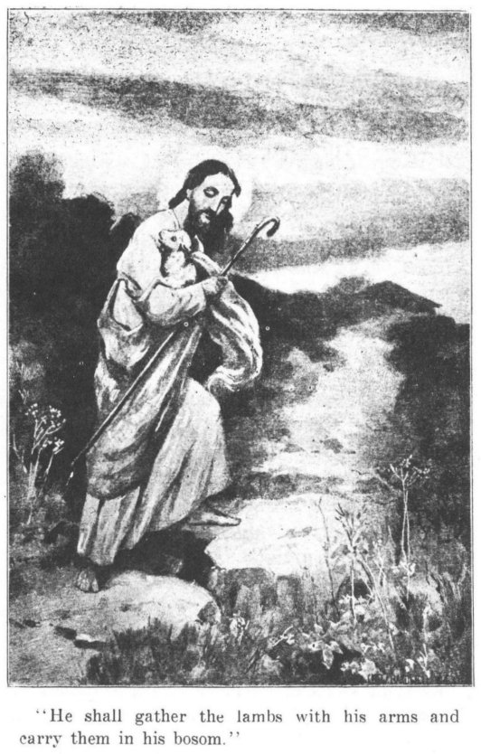 [Illustration: "He shall gather the lambs with his arms and carry them
in his bosom."]