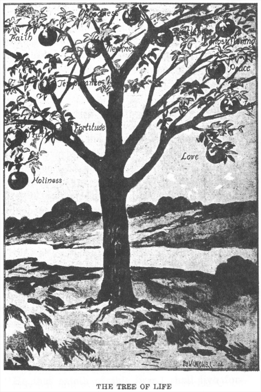 [Illustration: THE TREE OF LIFE]
