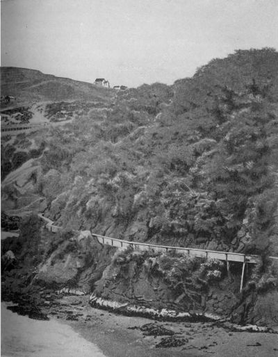 The Old Flume at Black Point, 1856