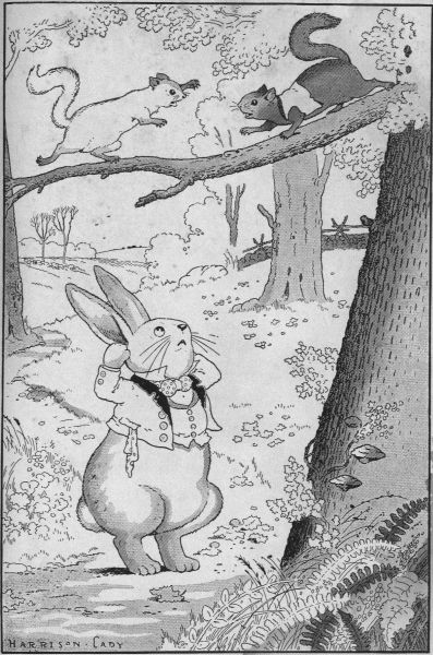 PETER RABBIT, WHO HAPPENED ALONG JUST THEN, PUT HIS HANDS
OVER HIS EARS.