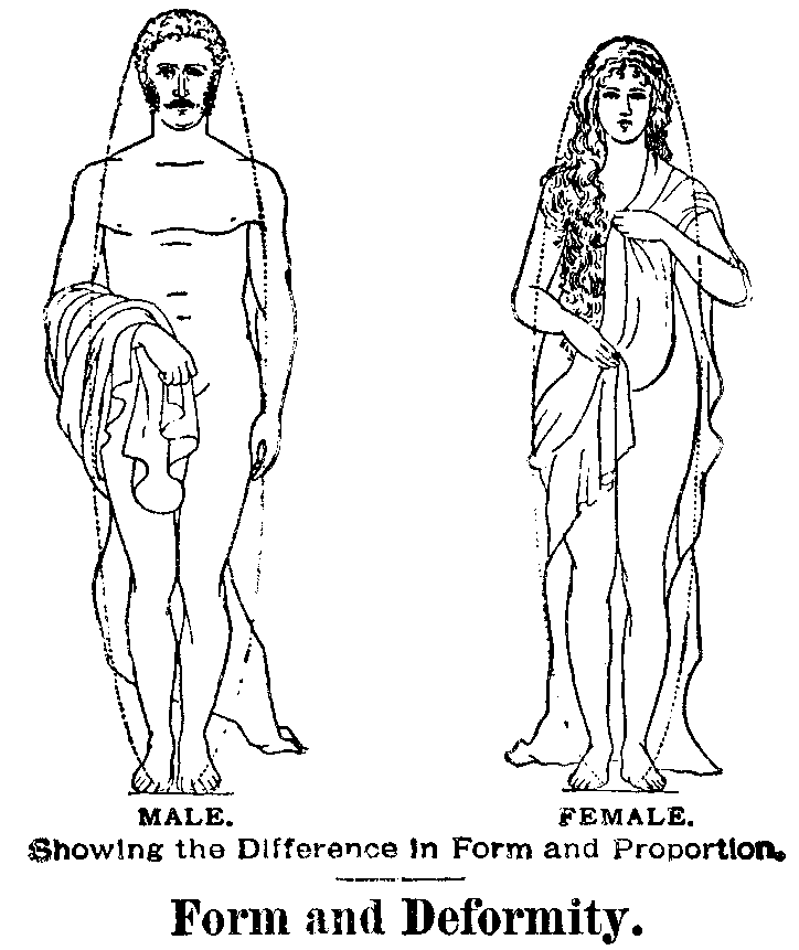 MALE and FEMALE. Showing the Difference in Form and
Proportion