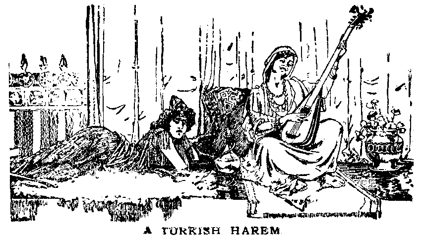 A TURKISH HAREM