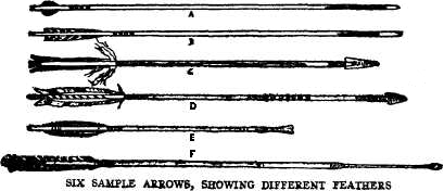 Six Sample Arrows, Showing Different Feathers