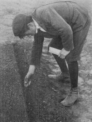 Albert Sowing Large Seeds Singly
