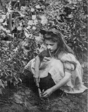 Photograph by Helen W. Cooke

Katherine Transplanting Her Flowers by a Method of Lifting.
