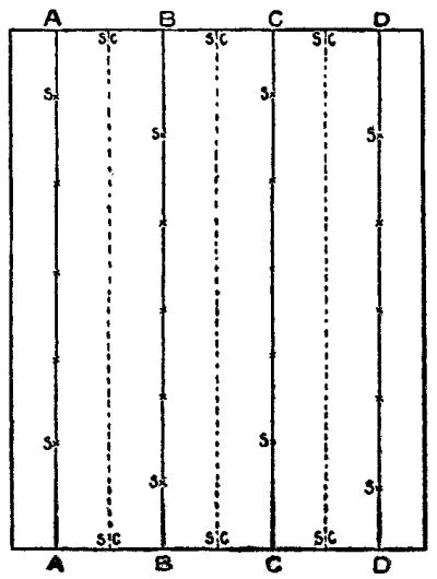 The crosses show where Myron set the strawberry plants.
The dotted lines signify the plantings of succession crops