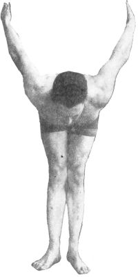 FIG. 17.—"WING" POSITION, ALSO BACK POSITION OF "CURL."
FACE SHOULD, HOWEVER, BE TURNED UP