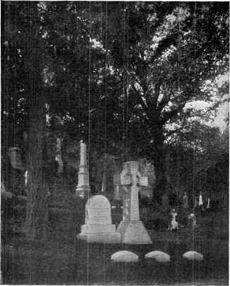 BLAINE'S GRAVE AT WASHINGTON, D.C. THE TREE AT THE LEFT MARKS THE HEAD OF THE GRAVE, AND THE FIRST OF THE THREE LOW STONES IN THE FOREGROUND, NUMBERING FROM THE LEFT, MARKS THE FOOT.