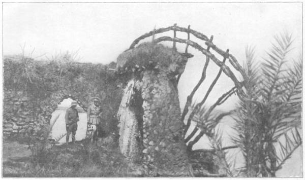 A water-wheel on the Euphrates