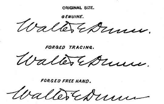 Genuine signature, forged tracing and forged free-hand examples.