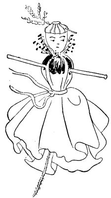  FIG. 1.—Doll made of a Wild Poppy.