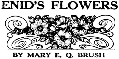 ENID'S FLOWERS BY MARY E. Q. BRUSH