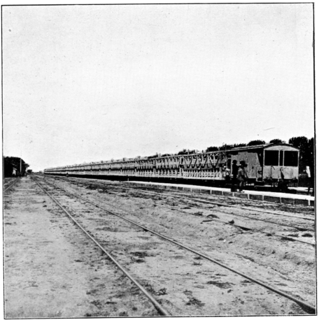 Cattle Train on Central Argentine Railway, bringing
Cattle to Barrancosa.