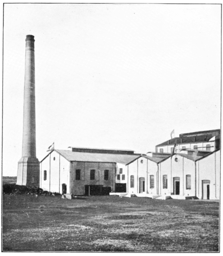 Tannin Extract Factory.