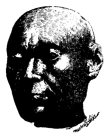 Fig 206.--Head of a scribe. Sa�te work. 