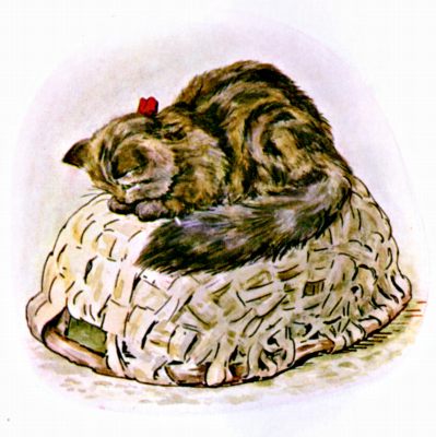 Cat on Basket