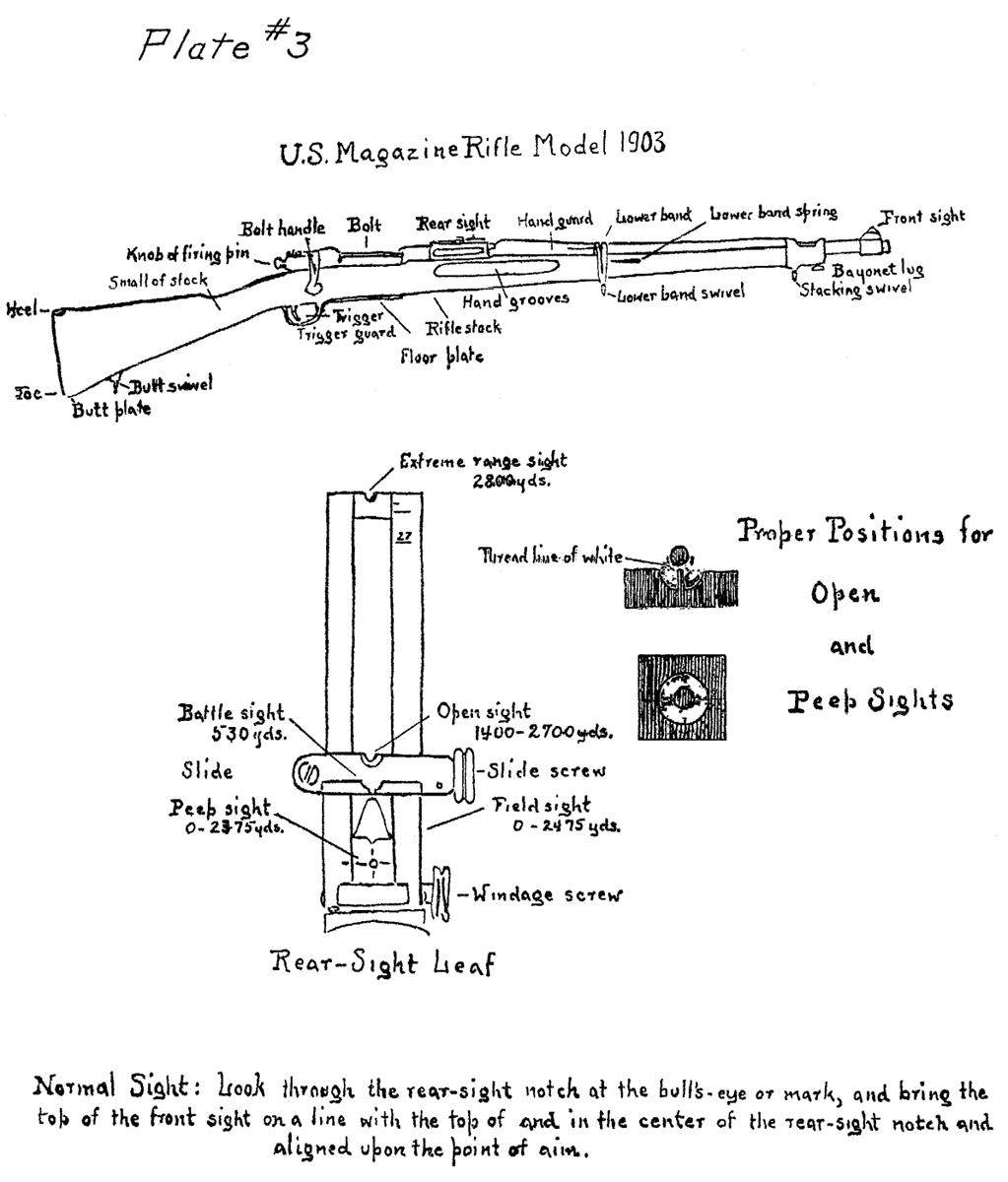 Plate 3: U.S. Magazine Rifle Model 1903